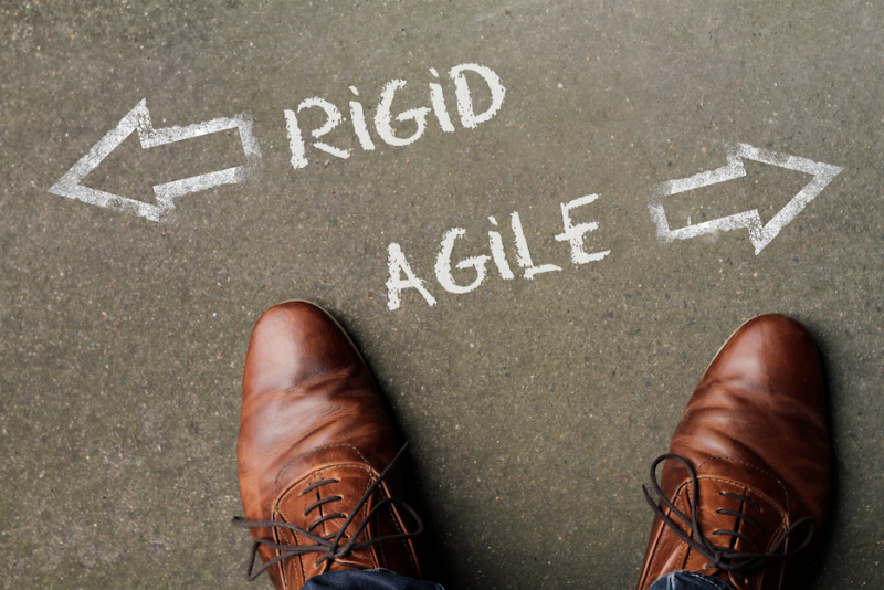 Rigid or Agile